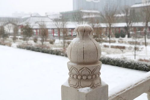 你们想看的最美景县雪景来啦