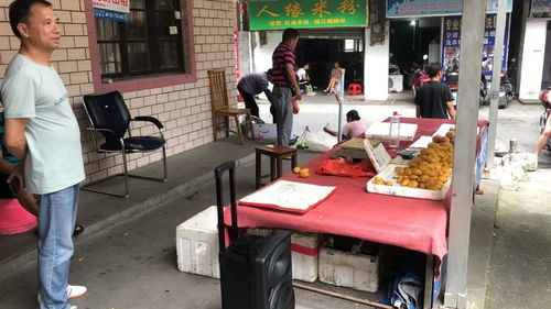 移动音箱重现江湖 大势进行创城宣传