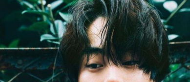 董子 撞脸 健菅田将晖,两个人都是影帝,而且身高迷之相似