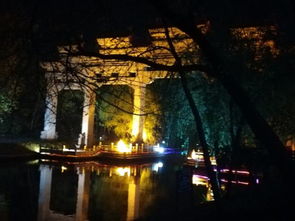 随手拍 德州董子文化街的夜色