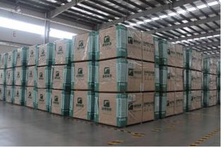 千年舟澳思柏恩郯城工厂迎来临沂市领导等与会者参观