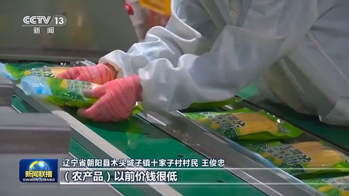 让艺术走遍农村教育 90后人大代表董子的履职故事