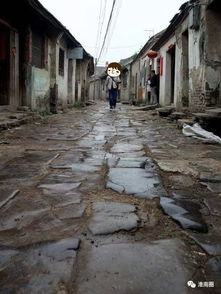 淮南向全世界发出邀请 董子文化的时代回响