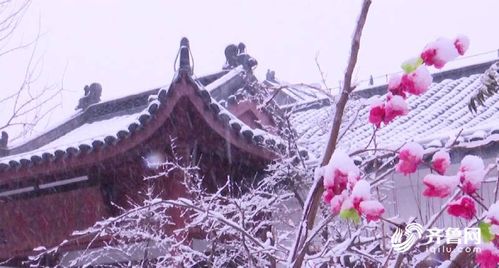 白雪镶红墙 飘雪的德州董子文化街美得让人心醉