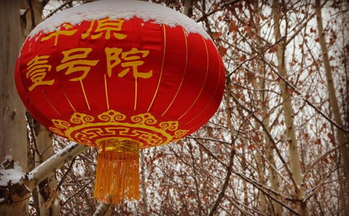 雪后董子文化街 银装素裹中的历史回响